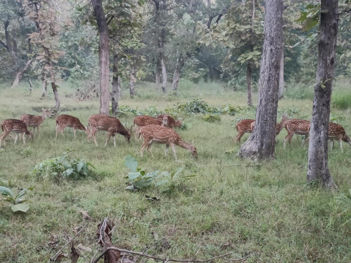 Khajuraho Homestay Dış mekan fotoğraf
