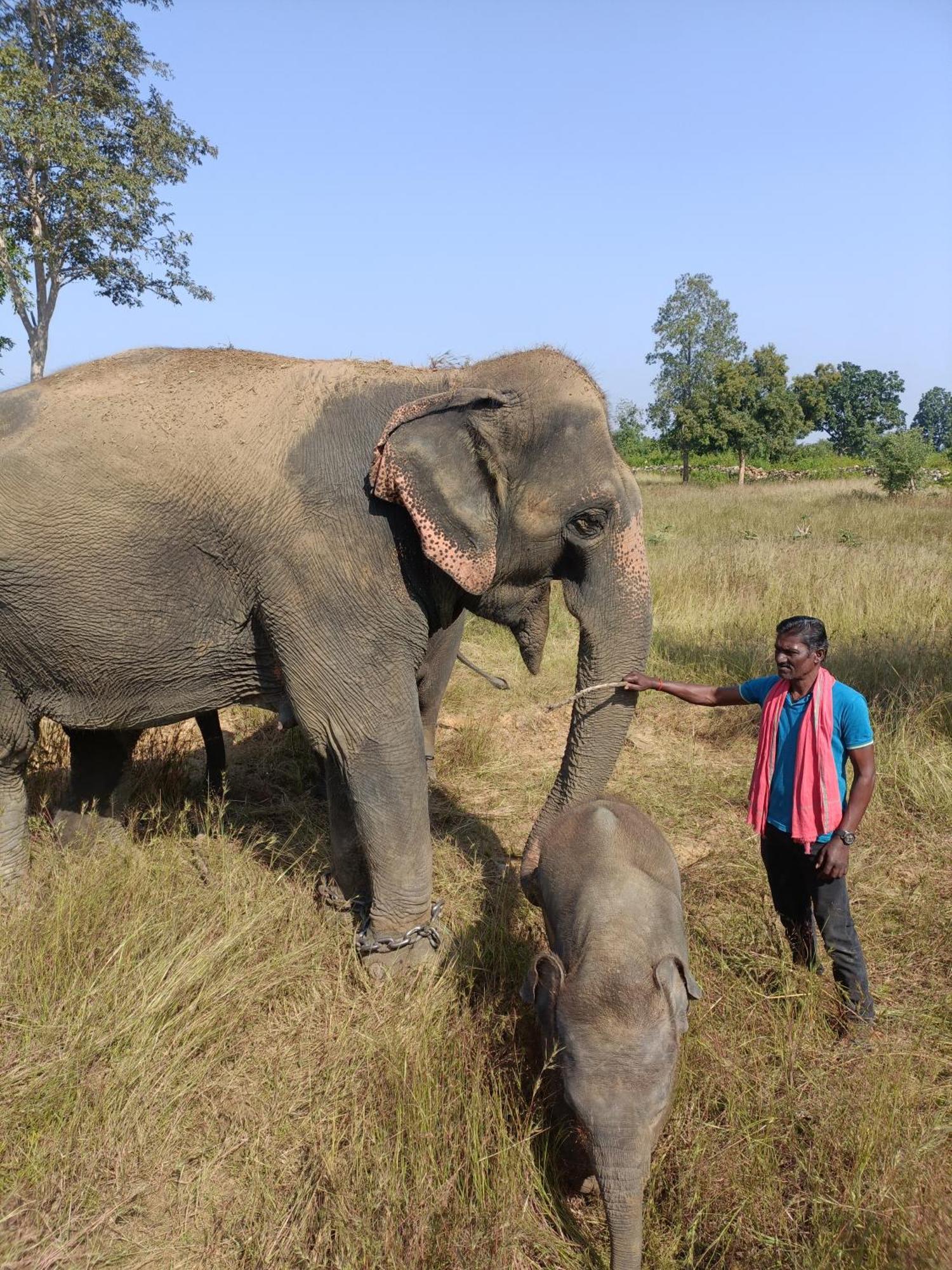Khajuraho Homestay Oda fotoğraf