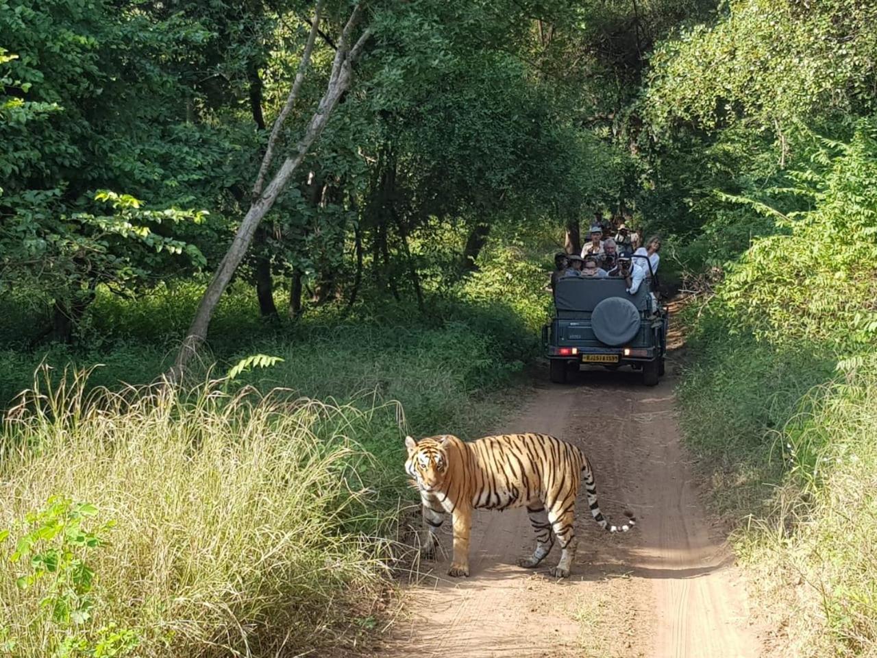 Khajuraho Homestay Dış mekan fotoğraf