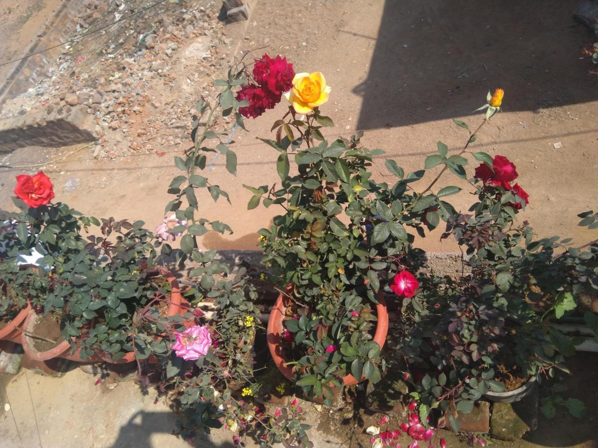 Khajuraho Homestay Dış mekan fotoğraf